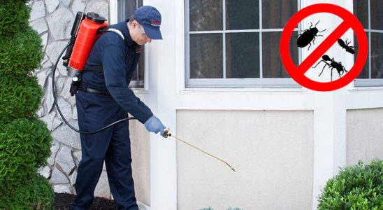 Bandırma Dezenfeksiyon böcek ilaçlama ve haşere kontrolü — ilaclama-tr.com